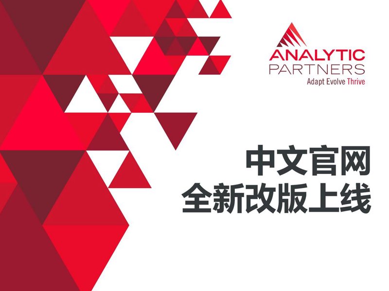 上海网站建设:让您的品牌翱翔于网络之上